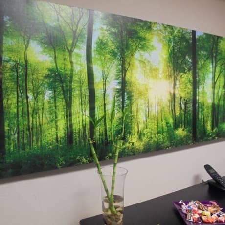 SR Silva & Rey Abogados